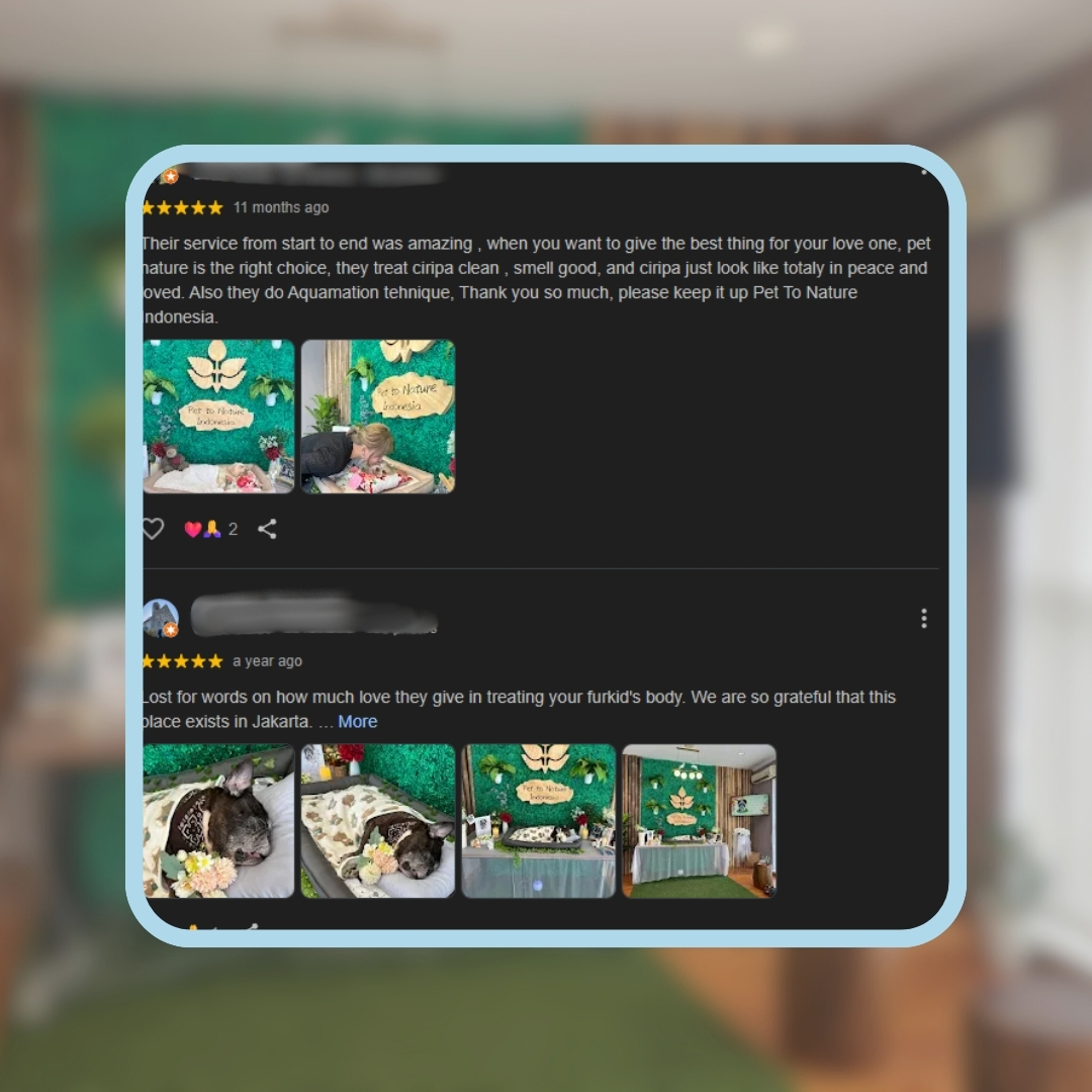 Ulasan pelanggan layanan bio cremation hewan peliharaan dengan proses perpisahan yang penuh kasih