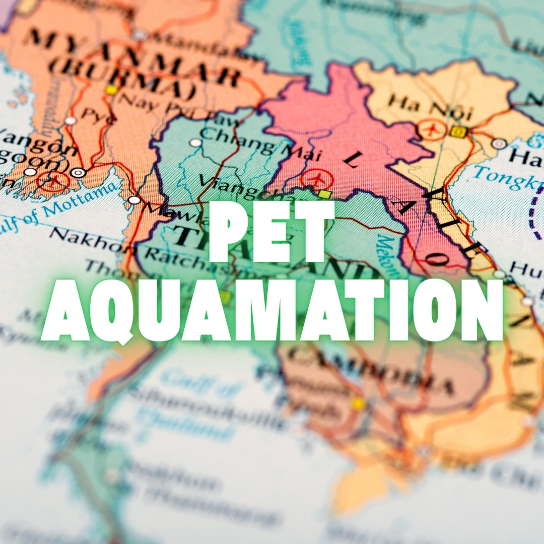 Peta Asia Tenggara dengan teks “Pet Aquamation” sebagai ilustrasi pasar regional layanan bio kremasi hewan.